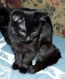 Onyx