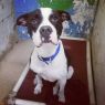 Roxy