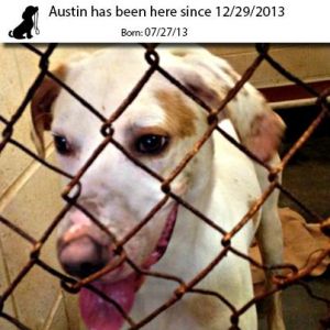 . Austin .
