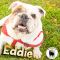 . Eddie Spaghetti .