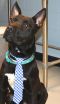 . Merlin 02-19-2014-3 .