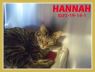 Hannah