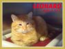 Leonard