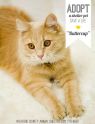 Buttercup