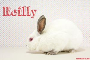 . Reilly .