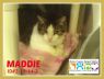 Maddie