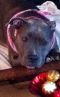 . --Snookie .
