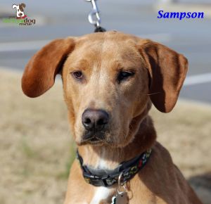 . Sampson .