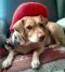 . --Lady (Courtesy Post) .