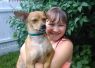 Romeo-HERE in NH