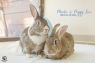 . Phoebe & Peggy Sue .