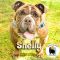 . Shelly .
