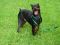 . Baron Von MinPin .