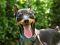 . Baron Von MinPin .