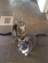 Tabitha & Junior