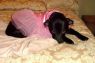 Winnie - Courtesy Post