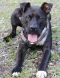 . --Champ (Urgent) .