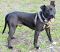 . --Champ (Urgent) .