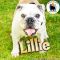 . Lillie .
