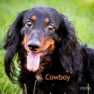 . Cowboy & Rusty .