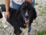 Fiona HOLD FOR RESCUE