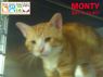 Monty