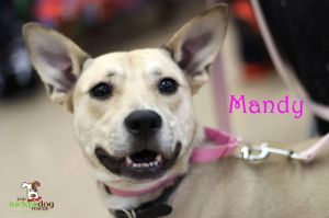 . Mandy .