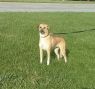 Molly