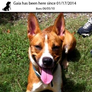 . Gaia .