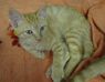 Prissy