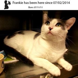 . Frankie .