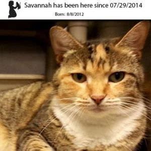 . Savannah .