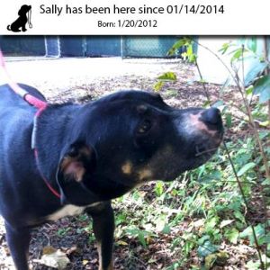 . Sally .