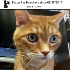 . Baxter .