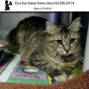 . Eva .