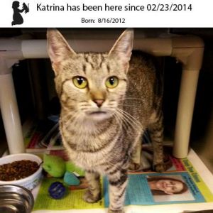 . Katrina .