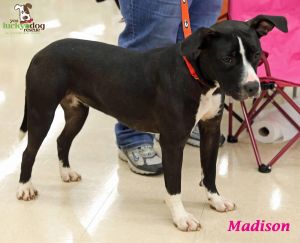 . Madison .