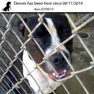 . Denver .