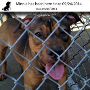 . Minnie .