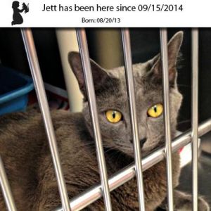 . Jett .