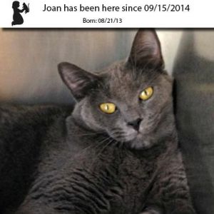 . Joan .