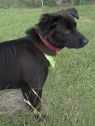 Charlene(Charlie)