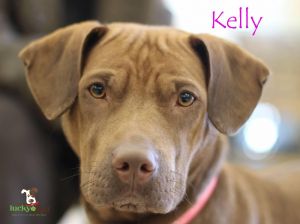 . Kelly .