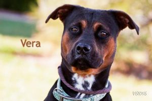 . Vera .