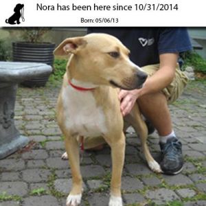 . Nora .