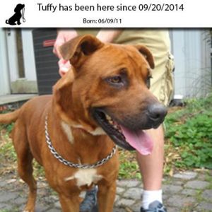 . Tuffy .