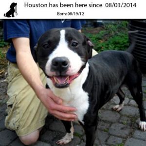 . Houston .