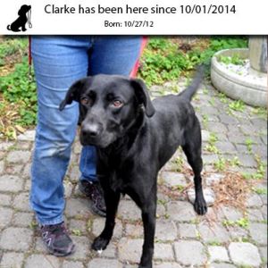 . Clarke .