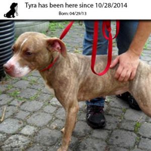 . Tyra .