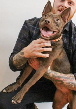 . Fey *Sponsored Adoption Fee* .